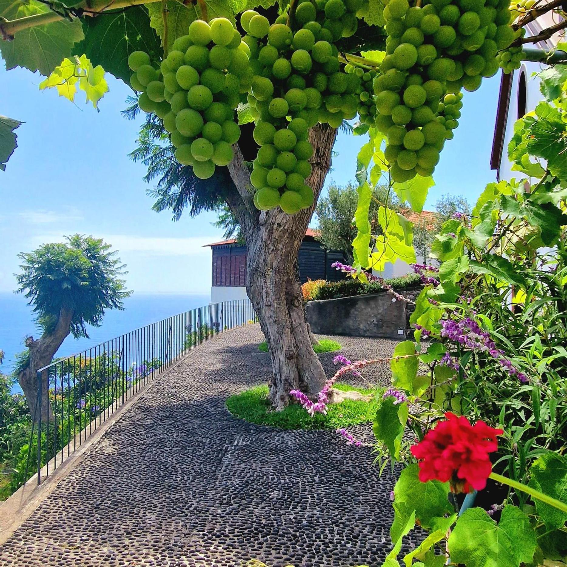 Torre Bella Gardens Villa Арко да Калйета Екстериор снимка